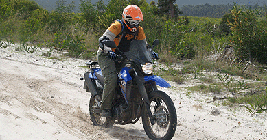 XT660R - Wheelie