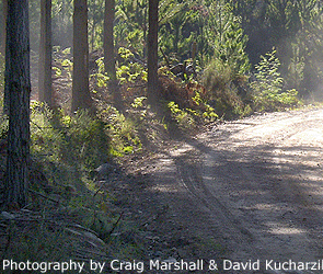 BMW R1200 GS Adventure