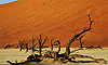Deadvlei Dunes