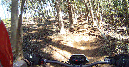 Zero X Extreme Electric (Trail)